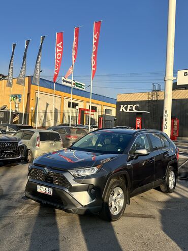 Toyota: Toyota RAV4: 2019 г., 2.5 л, Автомат, Гибрид