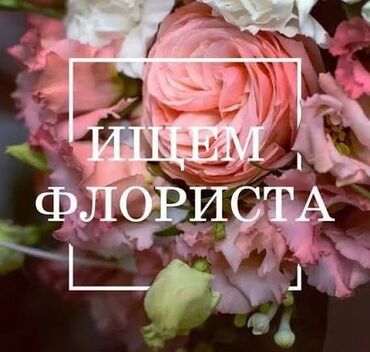 я ищу работы: Требуется флорист (девушка) Возраст от 18+ График работы с 9 до 21:00