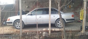 Audi: Audi 100: 1994 г., Седан — 1