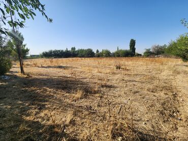 Продажа участков: 60 соток, Для строительства, Договор купли-продажи, Красная книга at lalafo.kg — 8 Продажа участков: 60 соток, Для строительства, Договор купли-продажи, Красная книга — 8