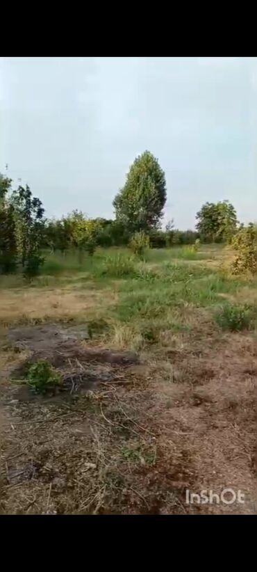 Torpaq sahələrinin satışı: 18 sot, Kənd təsərrüfatı, Mülkiyyətçi, Kupça (Çıxarış), Texniki pasport — 6