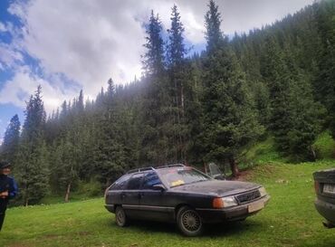 ауди 100 продажа: Audi 100: 1989 г., 2.3 л, Механика, Бензин, Универсал