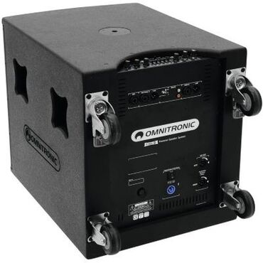 акустические системы protech с сабвуфером: Omnitronic AS 800 сабвуфер — это часть мобильной звуковой системы