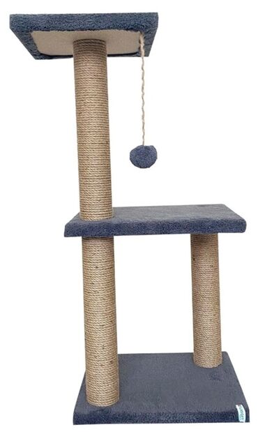 Pişiklər: Erkək, Dişi -da lalafo.az — 26 Pişiklər: Erkək, Dişi — 26