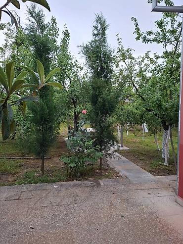 Günlük kirayə evlər: 100 kv. m, 3 otaqlı, Artezian quyusu, Kanalizasiya, Kombi — 21