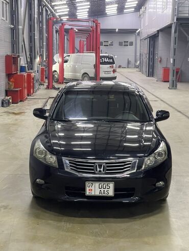 спойлер на аккорд: Honda Accord: 2011 г., 3.5 л, Автомат, Газ, Седан
