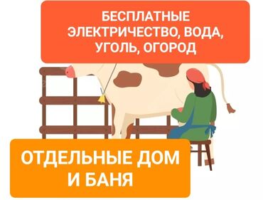 клеить объявления работа: Талап кылынат Саанчы, Төлөм Ай сайын
