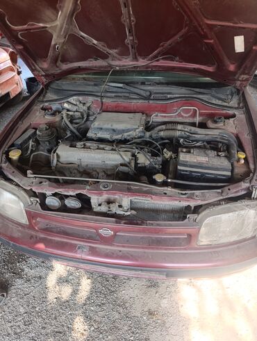 авто из азербайджана: Nissan Micra modeli, qırmızı rəngdə, kompakt heçbek avtomobildir