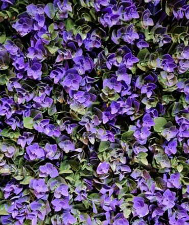 Süni güllər: Süni yaşıl divar paneli müxtəlif yaşıl yarpaqların və qırmızı — 35