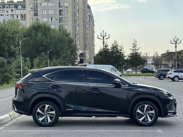 лехус нх: Lexus NX: 2019 г., 2.5 л, Гибрид, Кроссовер — 6