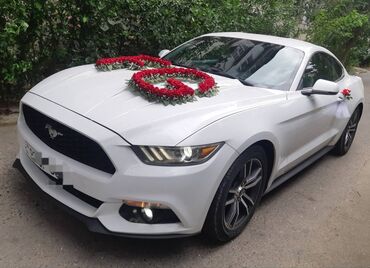 Digər avto xidmətlər: 2018-ci il Mustang. Toy, Nişan və digər tədbirlər üçün sifariş edə — 9