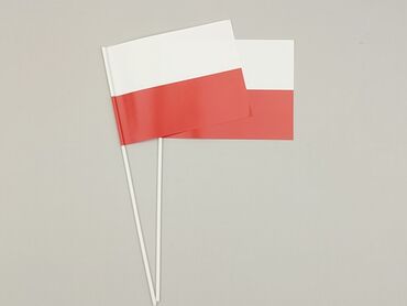 Dwie używane, ale w idealnym stanie polskie flagi na plastikowych