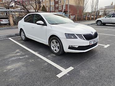 octavia: Skoda Octavia: 2018 г., 1.6 л, Автомат, Бензин, Седан — 8