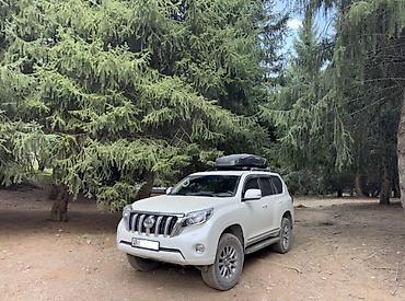 Продажа авто: Toyota Land Cruiser Prado: 2012 г., 4 л, Автомат, Бензин, Внедорожник — 1