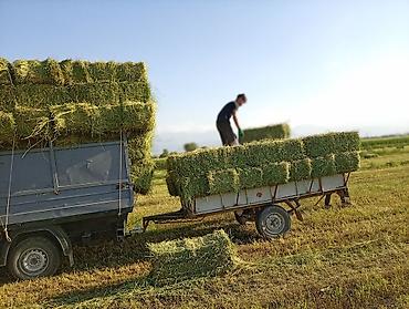 Прицепы и полуприцепы: Прицеп одноосный для легкого коммерческого автомобиля - Конструкция — 4