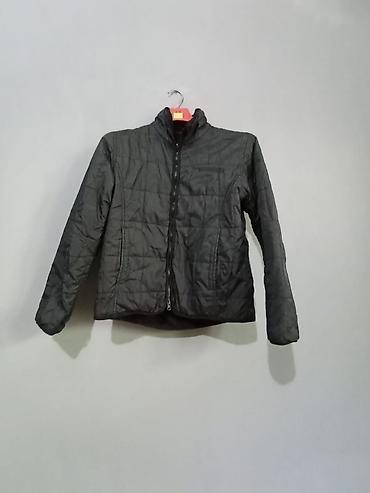 Kurtkalar: Kurtka, Bolonka, Qış, M — 1