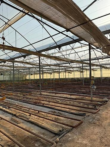 киндер осд в баку: Salyan rayonu, Qaraçala qəsəbəsində 1 hektar xüsusi mülkiyyətə aid — 3