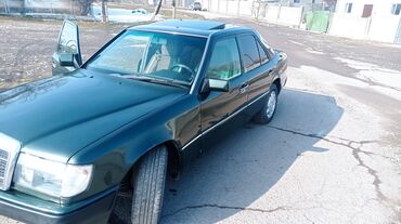 Mercedes-Benz: Mercedes-Benz W124: 1991 г., 2.5 л, Механика, Дизель, Седан