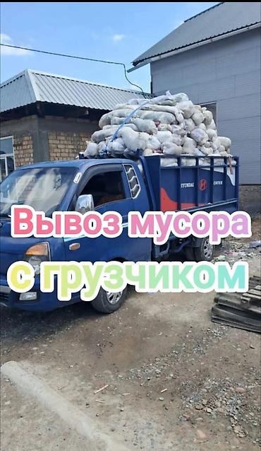 животные кошка: Вывоз мусора вывоз мусора вывоз мусора Вывоз мусора вывоз мусора — 1
