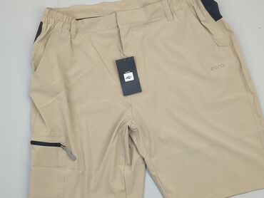 Trousers: Shorts for men, 3XL (EU 46), condition - Ideal