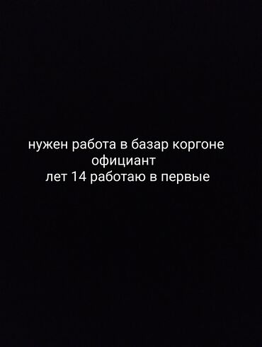 ищу помощницу по дому: Официант. Без опыта