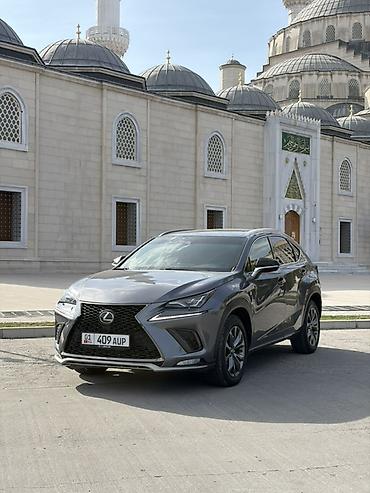 полики lexus nx: Lexus NX: 2019 г., Автомат, Бензин, Кроссовер — 3