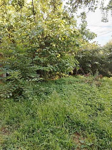 sabirabad torpaq: 3 sot, Tikinti, Mülkiyyətçi — 4