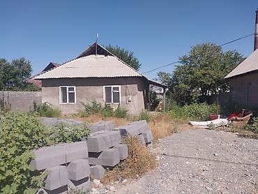 Уй сатылат срочно бизнеске участогу менен келишим баада at lalafo.kg Уй сатылат срочно бизнеске участогу менен келишим баада