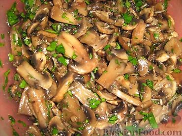 Грибы: Грибы Шампиньоны, Бесплатная доставка — 10