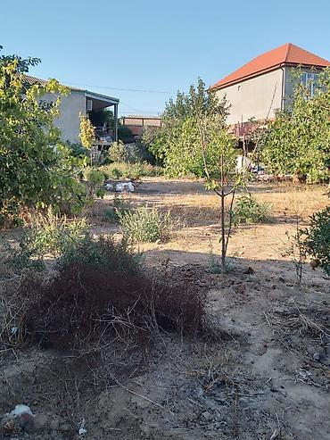 mingecevirde torpaq satisi: 10 sot, Tikinti, Mülkiyyətçi, Kupça (Çıxarış) — 2