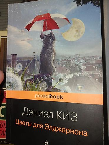 Роман, На русском языке, Б/у, Самовывоз