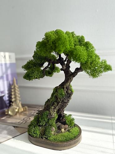 Декоративные цветы: Деревья-бонсай из натурального стабилизированного мха🌳 -это — 32