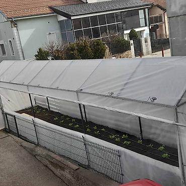 Kuće na prodaju: Prodajem kucu u najlepsem delu Surcina odv350kv na 5 ari placa. Kuca — 25