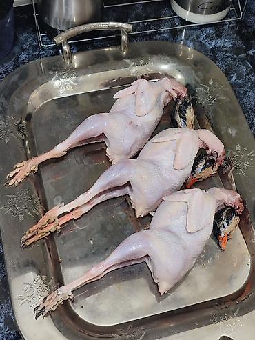 bıldırcın eti satışı: Məhsul: Təmizlənmiş kəklik — 1