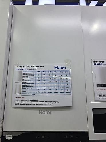 Настенный газовый котел Haier TECHLINE (двухконтурный) Основные