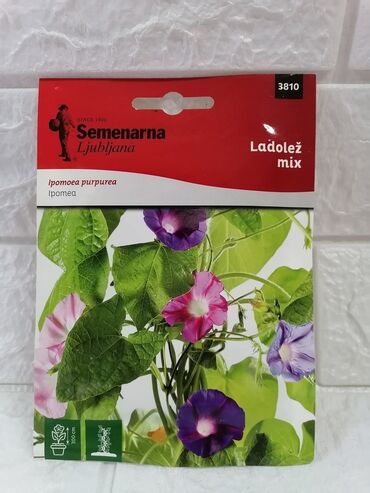 Semena i sadnice: Cena 500din/kesica — 5