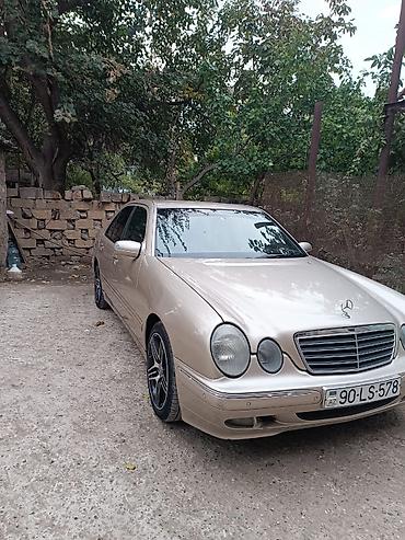 попугайчики купить: Mercedes-Benz E 220: 2.2 л | 2001 г. Седан — 10