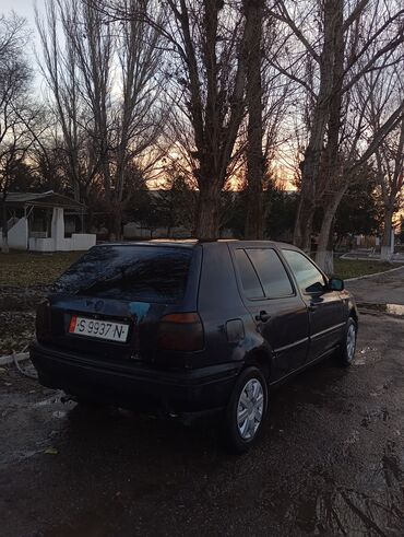 матор степ: Volkswagen Golf: 1993 г., 1.8 л, Механика, Бензин, Хэтчбэк