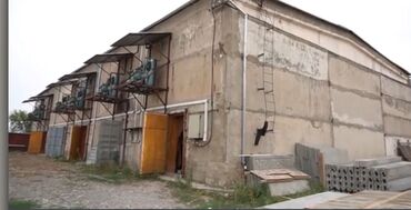 продаю квартира аламедин 1: Продаю ( сдаю) овощехранилище на 1000 т( холодильник)разм 18*36 высота