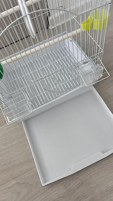 Животные: Продаётся новая клетка для попугаев 🦜 📏 Размер: ширина — 34 см — 3
