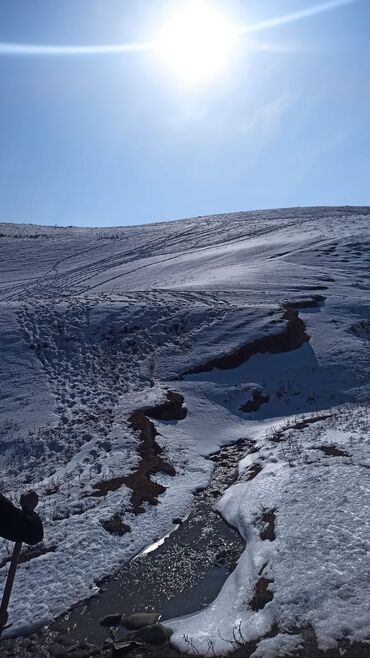 Услуги портера: Заказать Самосвал, Доставка щебня, угля, песка, чернозема, отсев — 15