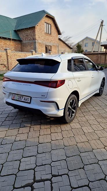 byd e9 1: BYD E2: 2021 г., Электромобиль, Хэтчбэк — 2