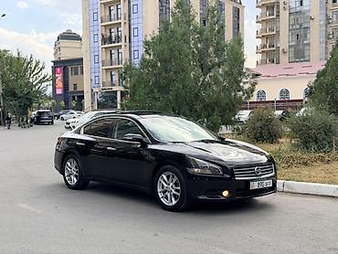 подушка для попы: Nissan Maxima: 2010 г., 3.5 л, Автомат, Бензин, Седан — 3