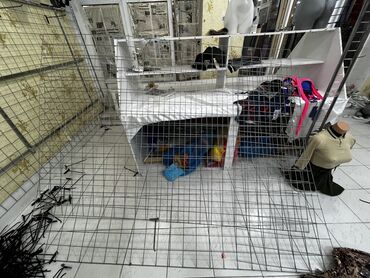 Stend vitrinləri: 4 ədəd 2,3 1,80 ferqli ferqli olculerde setkalardır