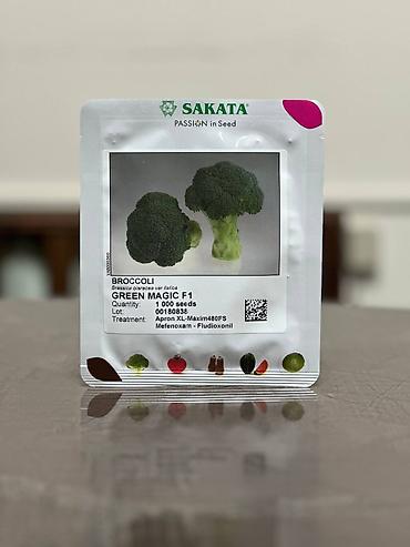 Другие овощные культуры: Семена овощных культур SAKATA (профессиональная серия, фасовка по 1000 — 15