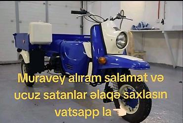 muravey satılır: Bakıda uzuz və salamat muravey satanlar əlaqə saxlasın vatsapp la — 1