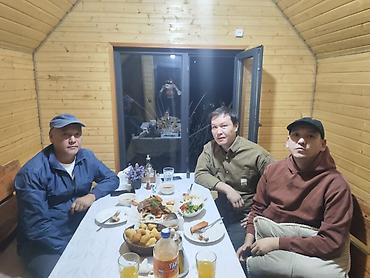 Беседка Дерево