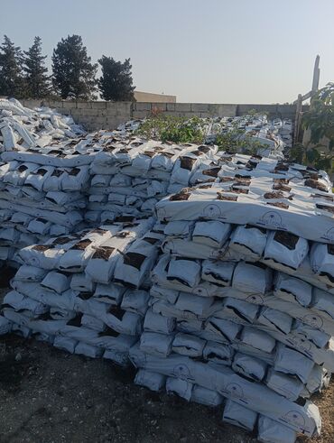 Kakabit: Kikavit gubresi satilir -da lalafo.az — 10 Kakabit: Kikavit gubresi satilir — 10