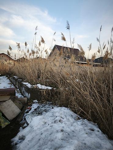 Продажа участков: 4 соток, Для строительства, Красная книга at lalafo.kg — 9 Продажа участков: 4 соток, Для строительства, Красная книга — 9