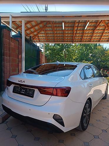 кия к3 2021: Kia K3: 2021 г., 1.6 л, Автомат, Бензин, Седан — 6